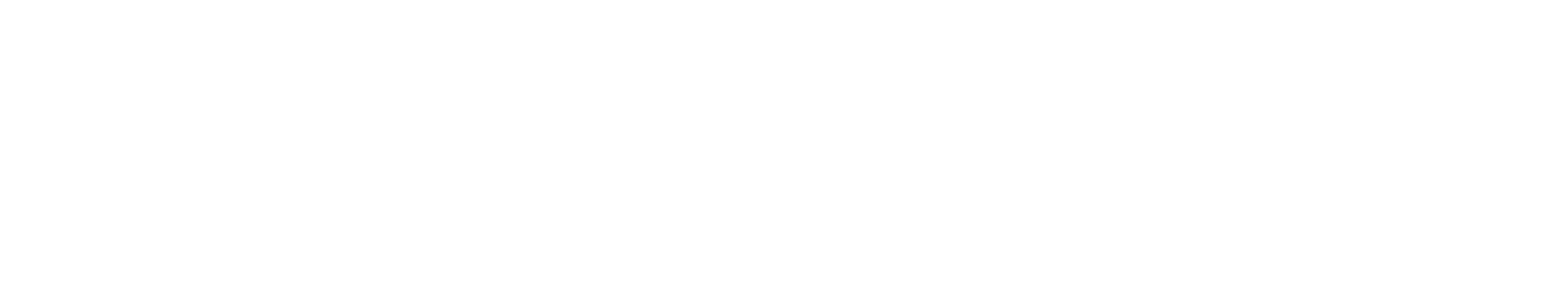 naver-icon